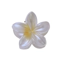 Translucent white and yellow Plumeria flower hair claw clip with a glossy resin finish - Approx. 4cm / White Yellow
