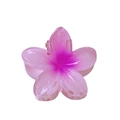 Pink gradient frangipani flower hair claw clip with transparent resin finish - Approx. 4cm / Transparent Pink