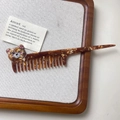 Peigne à dents larges en acétate écaille de tortue avec un motif mignon d'ours de dessin animé - Peigne Ours