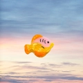 Pince à cheveux poisson tropical en acétate orange et rose pour coiffures d'été - Poisson Rose Jaune