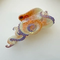 Unique amber octopus hair claw clip with blue purple suction cup details and acetate finish - White / Large
