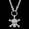 Pendentif crâne avec cristaux sur collier chaîne épaisse tête de loup en acier titane - Crâne Lunettes Étoile Strass Blanc (Avec Chaîne)