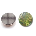 Detailed front and back view of crystal glass reindeer magnet for fridges and boards - Green Gold Butterfly Reindeer Style (XSWX6483-11-(30MM))