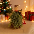 Decorative Christmas broom with pine needles, red ribbon and bell for festive home ornament - 17cm Broom