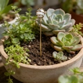 Natural white crystal sphere plant stake with gold copper wire wrapping for succulents - White Turquoise