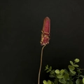 Macro detail of hand-wrapped purple aura quartz crystal on a golden metal garden stake - Pink Purple (AB Red)