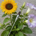 Detail of vintage silver hairpin with hexagonal brown crystal flower insert decor - Mahogany Obsidian