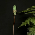 Macro view of green crystal flower stick wrapped in copper wire against black background - Green