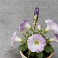 Antike goldene Haarnadel mit lila Kristallprisma und floralen Metallschnitzereien - Amethyst