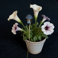 Detail van een blauwe kristallen paddenstoel plantensteker met gouden koperdraad - Grijze Agaat