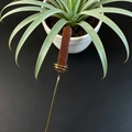 Detail of red carnelian crystal wand with gold wire wrapping on long metal stem - Red Agate