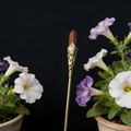 Chinesische Vintage-Haarnadel aus Gold mit braunem Goldfluss und feiner Blumenverzierung - Goldener Sandstein