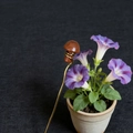 Detail of vintage copper hair pin with natural wooden mushroom and floral background - Red Jasper