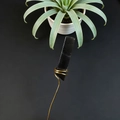 Detailed close-up of a black crystal stone wrapped in elegant golden wire handicraft - Smoky Quartz
