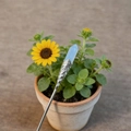 Detailed shot of a silver hair pin featuring a light blue hexagonal crystal and floral carving - Opal