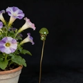 Close-up of handmade green crystal mushroom garden stake with gold wire wrap detail - Peridot