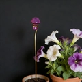 Handmade purple crystal mushroom garden stake with gold wire for floral decoration - Rose Red Agate