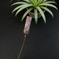 Detail of natural purple crystal with gold wire wrapping on a plant decorative stake - Strawberry Quartz