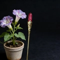 Retro hair pin with red hexagonal crystal and golden hollow flower base on black texture - Red Jasper