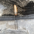 Handmade U-shaped hair pin featuring raw amber quartz stone and silver wire wrap - Milk Tea Color Silver Wire Silver Hair Stick