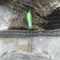 Épingle à cheveux en U avec cristal d'aura vert et fil argenté sur fourche ondulée - Vert AB Fil Argent Pic à Cheveux Argent