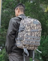 Mochila táctica de camuflaje con sistema MOLLE para senderismo y actividades militares - Talla única / Camuflaje Digital ACU