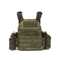 Tactical MOLLE plate carrier vest with quick-release buckles in camouflage nylon - Ruins Green