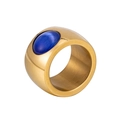 Herenring van verguld titaniumstaal met een ovale blauwe kattenoogsteen inleg - US 5 / Gouden Ring - Blauwe Kattenoogsteen (XYR0039-1)