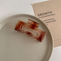 Macro shot of large amber brown translucent square claw clip on a ceramic plate - Gradient Amber