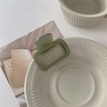Close-up of translucent dark green acetate hair claw clip with Creation France lettering - Nutmeg Light Green