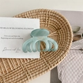 Detail van de mintgroene acetaat haarklem met France Handmade gouden belettering - Lichtblauw