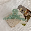 Detailed macro view of mint green marble pattern acetate hair claw clip with bow design - Fine Packaging Style / Pale Green Marble