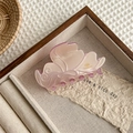 Detailed macro of a handmade pink purple gradient butterfly hair claw clip in wood tray - Light Pink