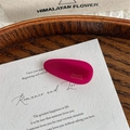 Detailed macro view of a rose red acetate teardrop hair clip with gold handmade lettering - Rose Red