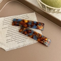 Dettaglio di fermagli in acetato tartarugato con scritte dorate Barrette La France - Stile Tartarugato Blu