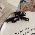 Detailed macro view of acetate bow hair claw featuring tortoiseshell patterns and gold logo - Lake Blue Coffee