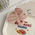 Vue macro d'une pince à cheveux fleur rose marbrée sur une assiette décorative blanche - Rose Rayé