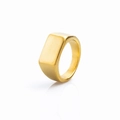 Minimalist rectangular signet ring for men in matte gold finish with brushed texture - US 7 / Gold