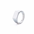 Minimalist rectangular silver signet ring with a brushed stainless steel finish - US 7 / Silver