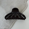 Macro shot of high-gloss scallop-shaped hair claw clip with smooth polished finish - Brown
