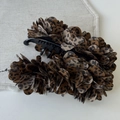 Detail of Korean leopard print fabric flower hair clip with black banana grip closure - Dark Coffee Banana Clip
