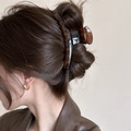 Pinza per capelli a tartaruga mostrata lateralmente per uno stile di capelli elegante - Stile Barra Tartaruga Caffè
