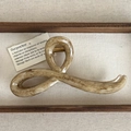 Detailed close-up of large marble pattern hair claw clip with golden metal spring - Bowtie