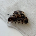 Detail of vintage tortoise shell hair claw clip with golden text on beige linen cloth - Small Claw