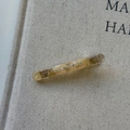 Close-up of amber acetate hair clip with rhinestones and MY BEAR lettering detail - Apricot