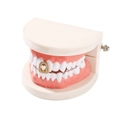 Dettaglio macro di un dente grillz dorato a forma di cuore con micro cristalli incastonati - Stile Cuore Conchiglia Oro