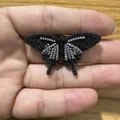 Mini Schmetterling Anhänger mit 5A Zirkonia in schwarz-weißer Pavé-Fassung auf Metall - Schwarz Rosa
