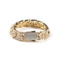 Nahaufnahme des Hip-Hop-Armbands in Silber mit Zirkonia und breitem Federverschluss - 7inch / Gold