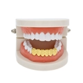 Grillz hip hop dorés à six dents avec motif losanges sur modèle dentaire blanc - Dents Inférieures en Or (Style Croix)