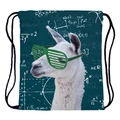 Alpaka-Kordelzug-Rucksack mit mathematischen Formeln und lustigem Alpaka-Print - Lama Mit Brille Druck (skd29079)